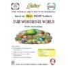 Golden The World Around US Workbook Based on NEW NCERT Textbook Our Wondrous World with Activities for Class 4 2026